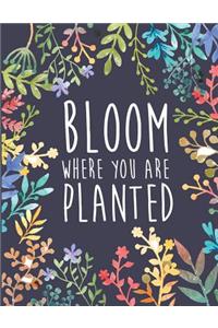 Bloom where you are planted