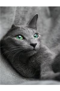 Gray Cat Lined Notebook Journal