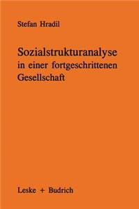 Sozialstrukturanalyse in Einer Fortgeschrittenen Gesellschaft