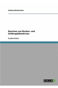 Ursachen von Banken- und Zahlungsbilanzkrisen