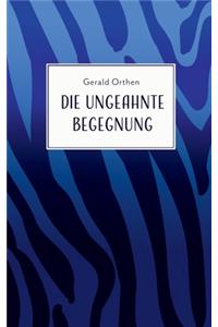Die ungeahnte Begegnung