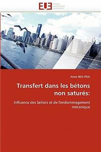 Transfert Dans Les Bétons Non Saturés