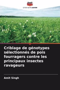 Criblage de génotypes sélectionnés de pois fourragers contre les principaux insectes ravageurs