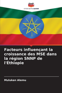 Facteurs influençant la croissance des MSE dans la région SNNP de l'Éthiopie
