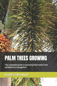 Palm Trees Growing