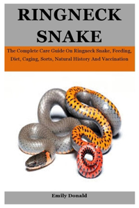 Ringneck Snake