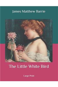 The Little White Bird