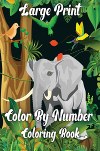 Large Print Color By Number Coloring Book