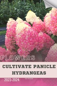 Cultivate Panicle Hydrangeas