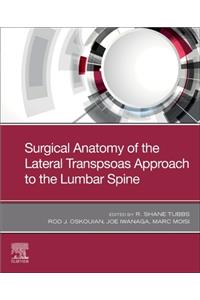 Surgical Anatomy of the Lateral Transpsoas Approach to the Lumbar Spine