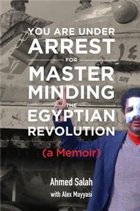 You Are Under Arrest for Masterminding the Egyptian Revolution