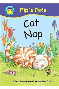 Cat Nap