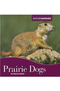 Prairie Dogs