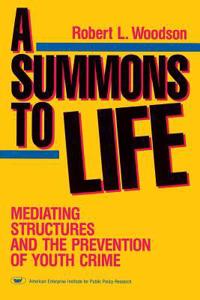 Summons to Life: Mediating Structures and the Prevention of Youth Crime