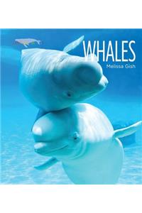 Living Wild: Whales