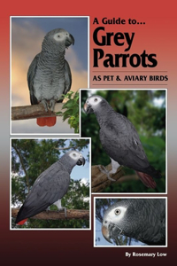 Guide to Grey Parrots as Pet & Aviary Birds