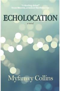 Echolocation