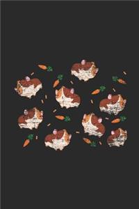 Guinea Pig Pattern