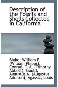Description of the Fossils and Shells Collected in California