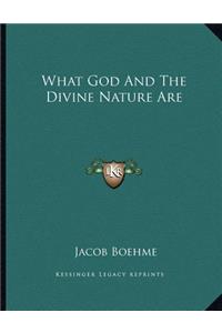 What God and the Divine Nature Are