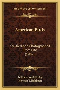 American Birds: Studied and Photographed from Life (1907)