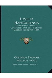 Fossilia Hantoniensia
