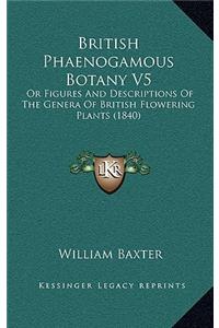 British Phaenogamous Botany V5