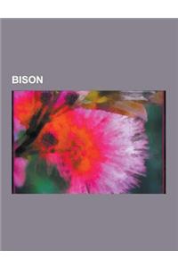 Bison