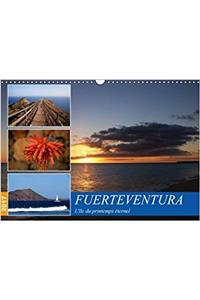 Fuerteventura, L'ile Du Printemps Eternel 2017