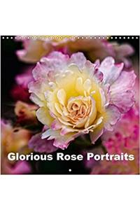 Glorious Rose Portraits 2018