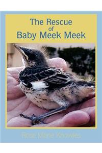 Rescue of Baby Meek Meek