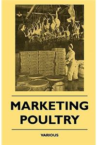 Marketing Poultry