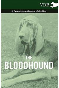 Bloodhound - A Complete Anthology of the Dog -