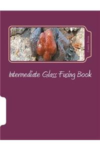 Intermediate Glass Fusing Book