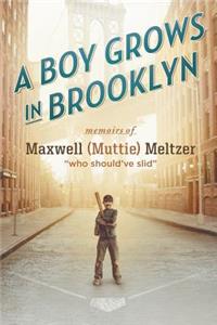 A Boy Grows in Brooklyn