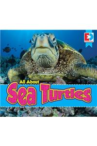 All about Sea Turtles