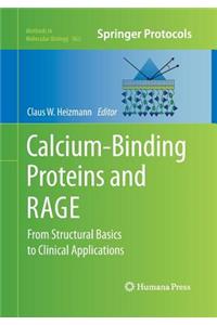 Calcium-Binding Proteins and Rage