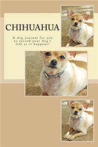 Chihuahua
