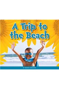 A Trip to the Beach