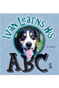 Ivan the Entlebucher Mountain Dog
