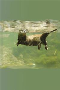 Otters