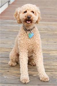 Labradoodle Dog Journal