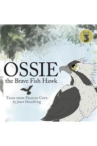 Ossie the Brave Fish Hawk