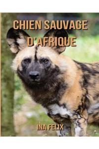 Chien Sauvage d'Afrique