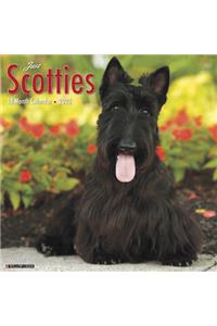 SCOTTIES 2020 WALL CALENDAR