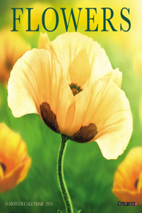 Flowers 2024 7 X 7 Mini Wall Calendar