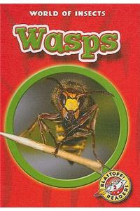 Wasps