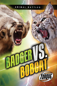 Badger vs. Bobcat