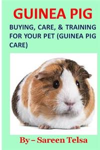Guinea Pig