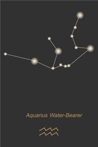Aquarius Water-Bearer